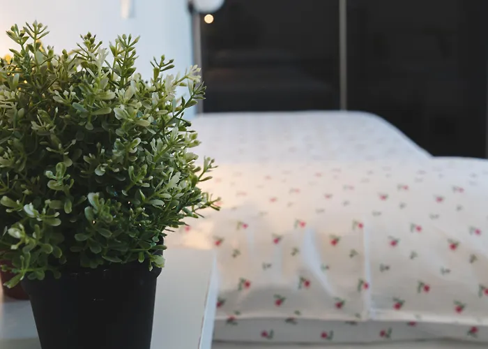 Hotel Hotel Spiaggia Cattolica