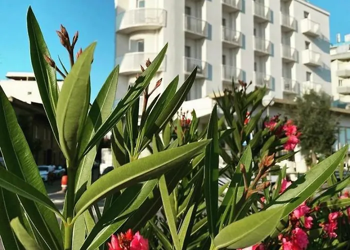 فندق Hotel Spiaggia 3*