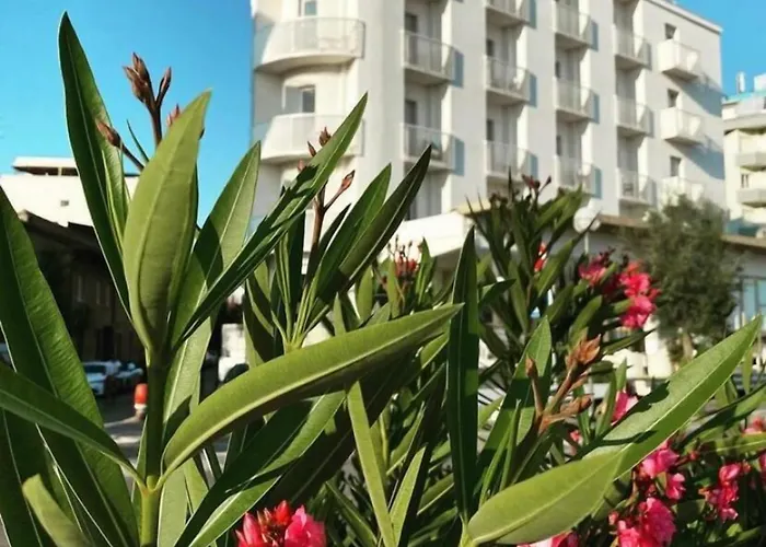 Szálloda Hotel Spiaggia Cattolica