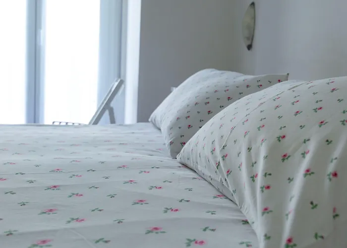 Hotel Hotel Spiaggia Cattolica